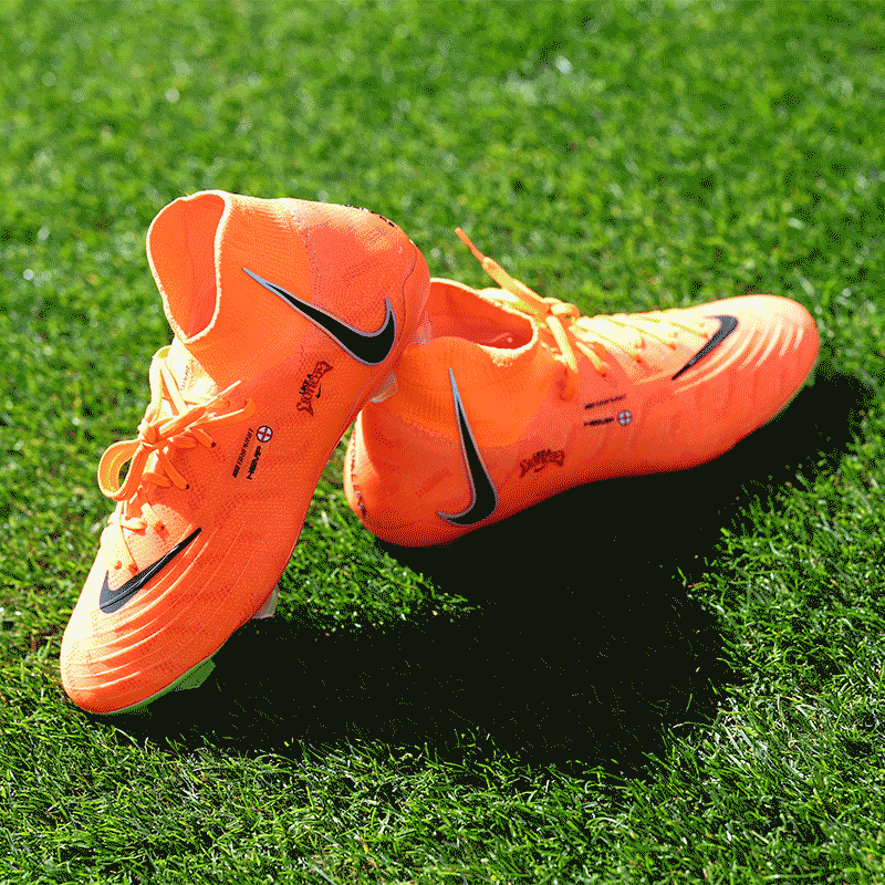Nike Like a Lioness